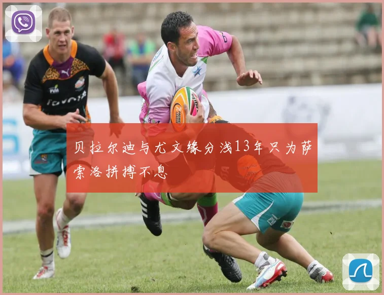贝拉尔迪与尤文缘分浅13年只为萨索洛拼搏不息