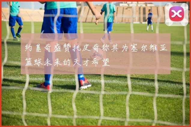 约基奇盛赞托皮奇称其为塞尔维亚篮球未来的天才希望