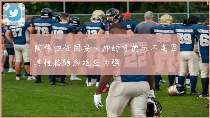 陶伟担任国安主帅的可能性不高因其性格随和适应力强